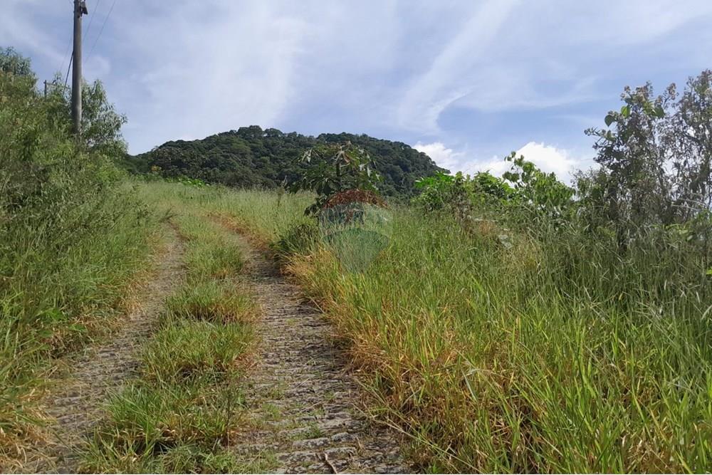 Terreno - Venda - Bom Jardim , Rio de Janeiro - WhatsApp Image 2025-01-18 at 09.52.01.jpeg - 630171008-29