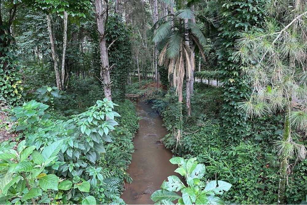 Casa - Venda - Bom Jardim , Rio de Janeiro - c8ecb18b-3a71-48aa-b23f-505ad43655a6.jpg - 630171006-42