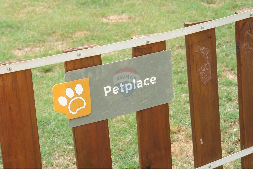 Apartamento - Venda - Sorocaba , São Paulo - DSC00130.JPG - 631701008-6