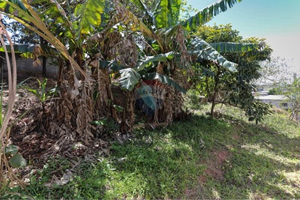 Terreno - Venda - Poá , São Paulo - L_422efc21-6700-4b60-b92b-1adb02f033b8.jpg - 630281090-19