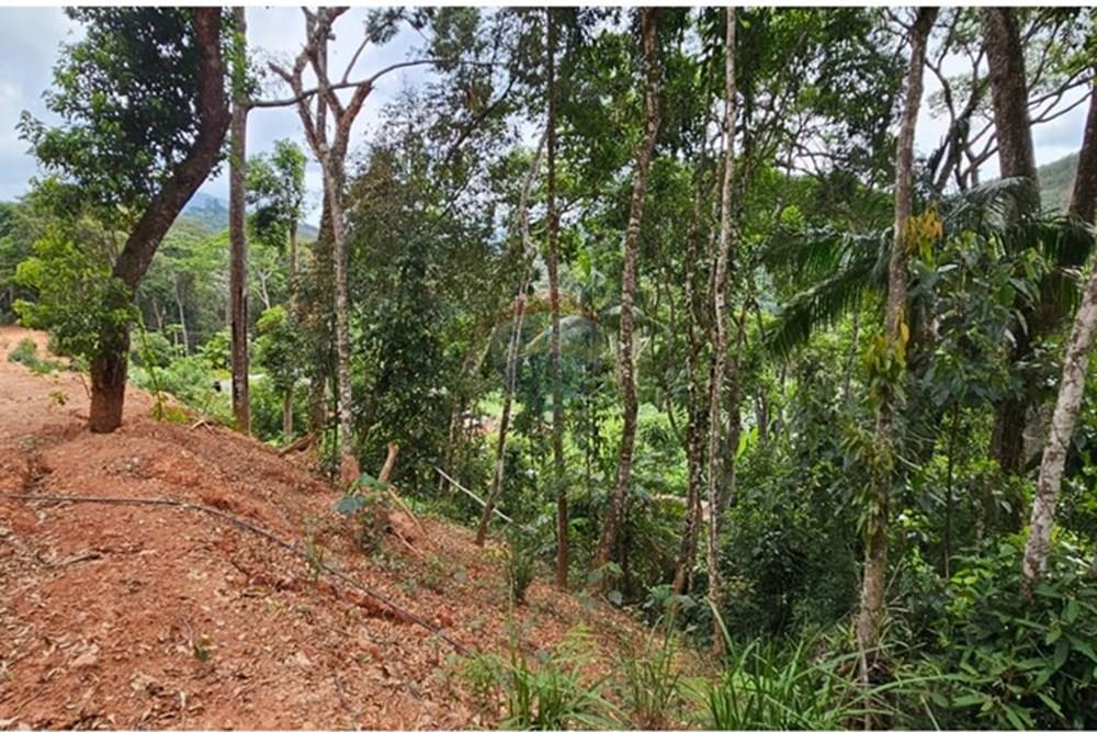 Terreno - Venda - Teresópolis , Rio de Janeiro - WhatsApp Image 2026-01-27 at 14.34.54.jpeg - 630191101-10