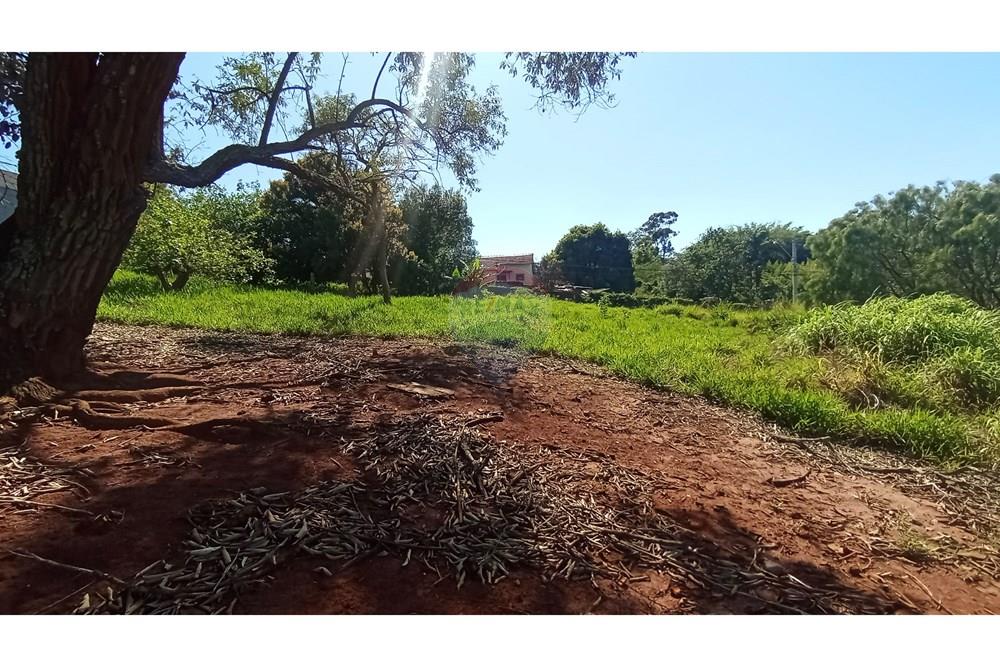 Terreno - Venda - Botucatu , São Paulo - 12-IMG_20251107_085537.jpg - Quintal - 630481103-134