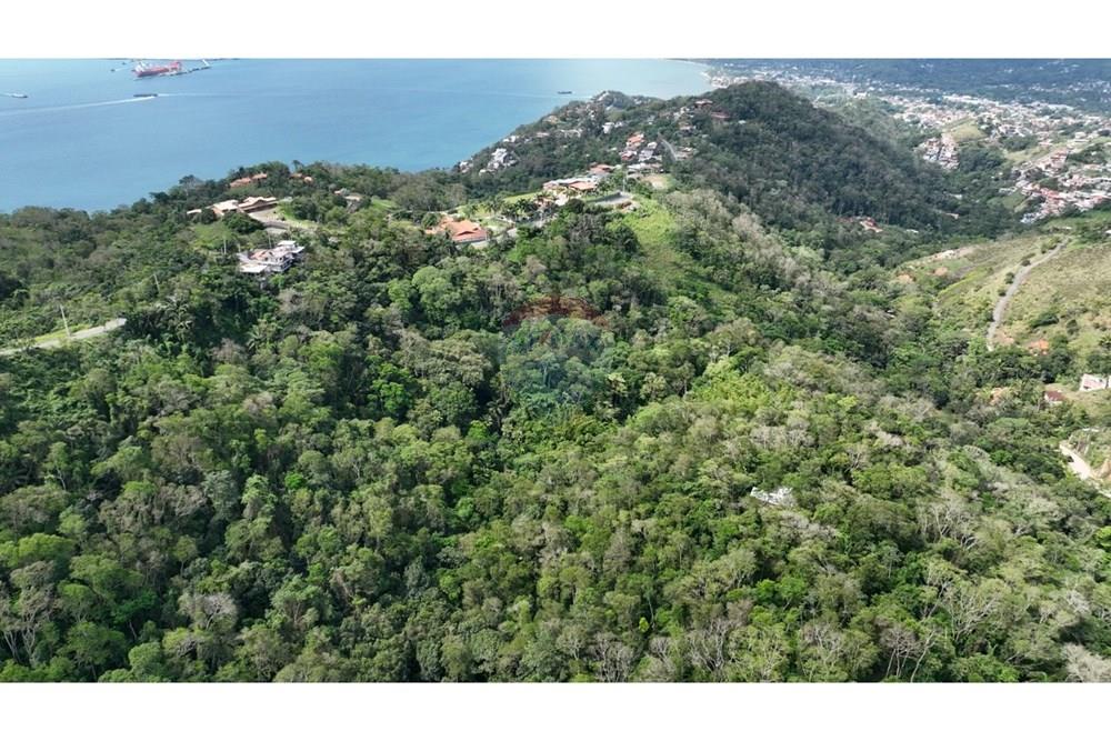 Terreno - Venda - Ilhabela , São Paulo - 9dc15a47-f067-4474-9c1a-7fe1ee70a5ab.jpeg - 690881044-5