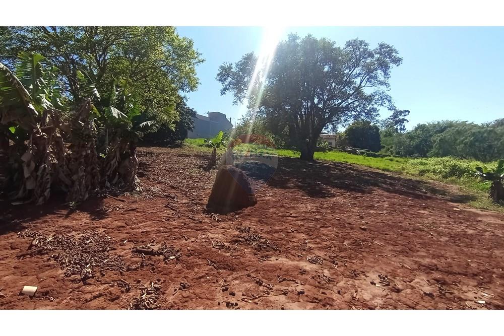 Terreno - Venda - Botucatu , São Paulo - 9-IMG_20251107_085441.jpg - Quintal - 630481103-134