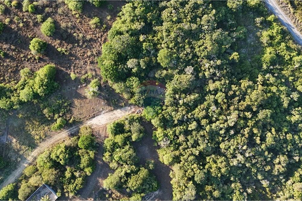 Terreno - Venda - Armação dos Búzios , Rio de Janeiro - dji_fly_20250318_170532_0054_1742330811652_photo(1).JPG - 630391033-21