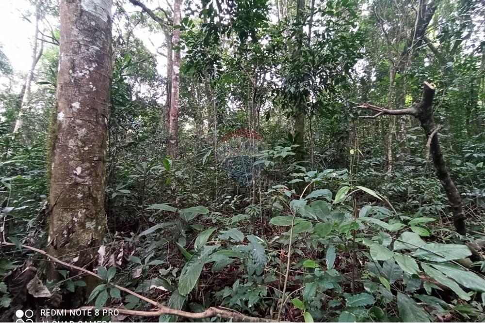 Terreno - Venda - Mairiporã , São Paulo - WhatsApp Image 2025-07-28 at 23.50.19 (1).jpeg - 631361025-37