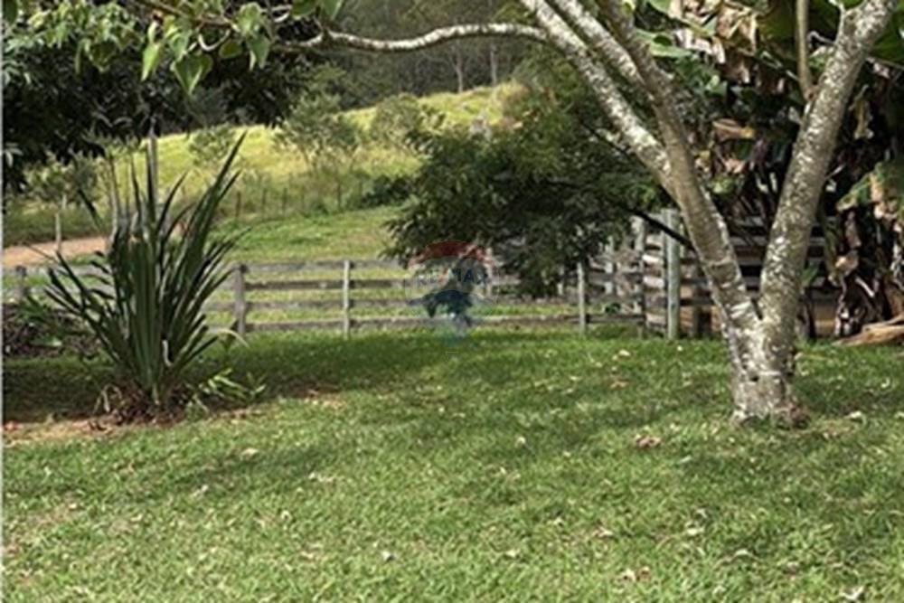 Chácara / Sítio / Fazenda - Venda - Guaratinguetá , São Paulo - IMG_0260.JPG - 630961014-63