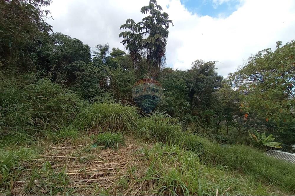 Terreno - Venda - Petrópolis , Rio de Janeiro - WhatsApp Image 2025-07-27 at 13.49.36.jpeg - 630131052-16