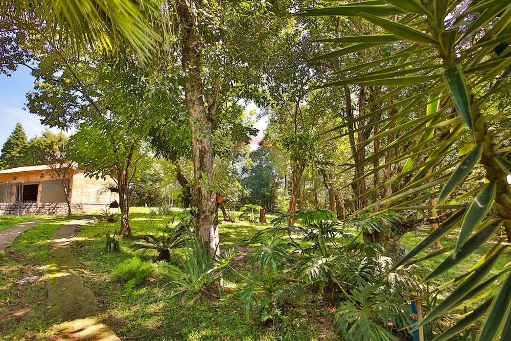 Chácara / Sítio / Fazenda - Venda - São Roque , São Paulo - IMG_0034.jpg - 631601019-36