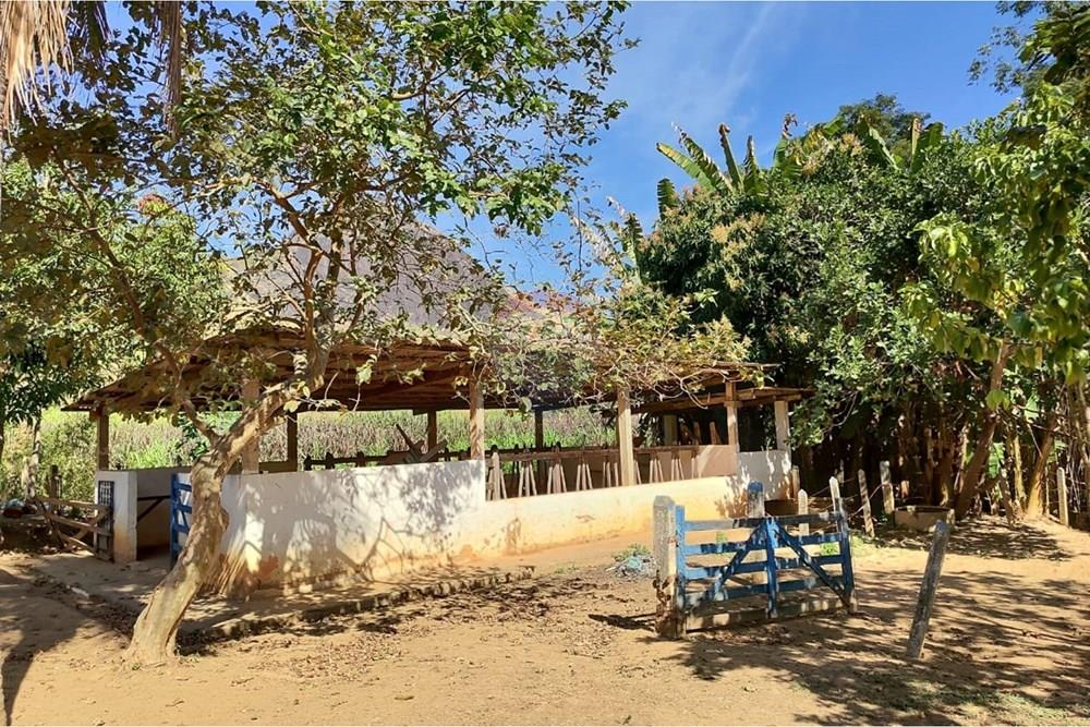 Chácara / Sítio / Fazenda - Venda - Sapucaia , Rio de Janeiro - WhatsApp Image 2026-02-09 at 10.38.38 (2).jpeg - 630191030-39