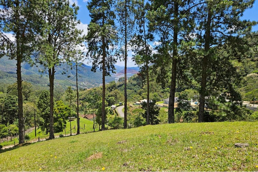 Terreno - Venda - Nova Friburgo , Rio de Janeiro - 20251111_104005.jpg - 630551024-83