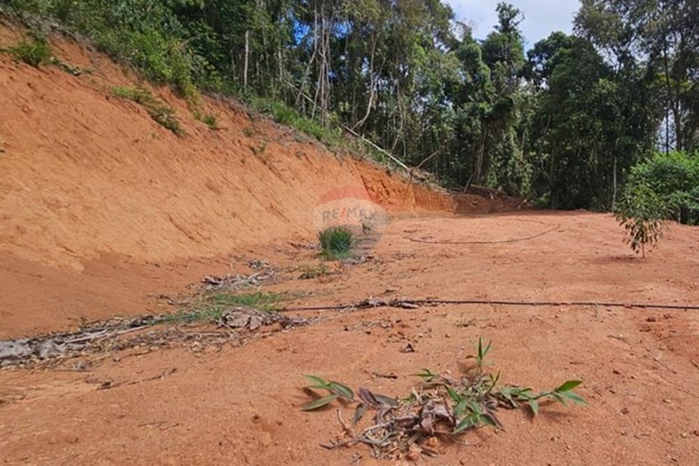 Terreno - Venda - Teresópolis , Rio de Janeiro - WhatsApp Image 2026-01-27 at 14.34.46 (1).jpeg - 630191101-10