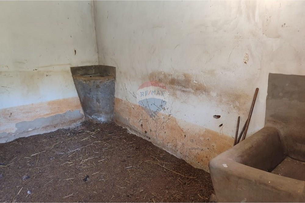 Chácara / Sítio / Fazenda - Venda - Sapucaia , Rio de Janeiro - WhatsApp Image 2026-02-09 at 10.38.43 (1).jpeg - 630191030-39