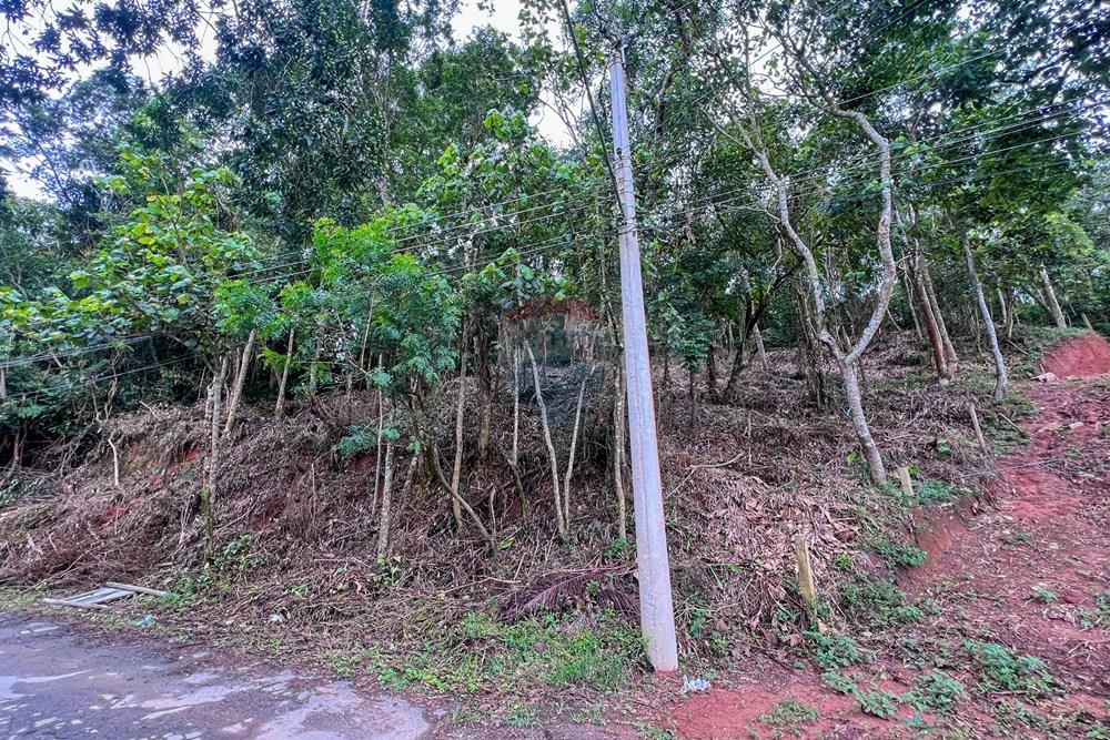 Terreno - Venda - Ribeirão Pires , São Paulo - 2.jpg - 631371054-1