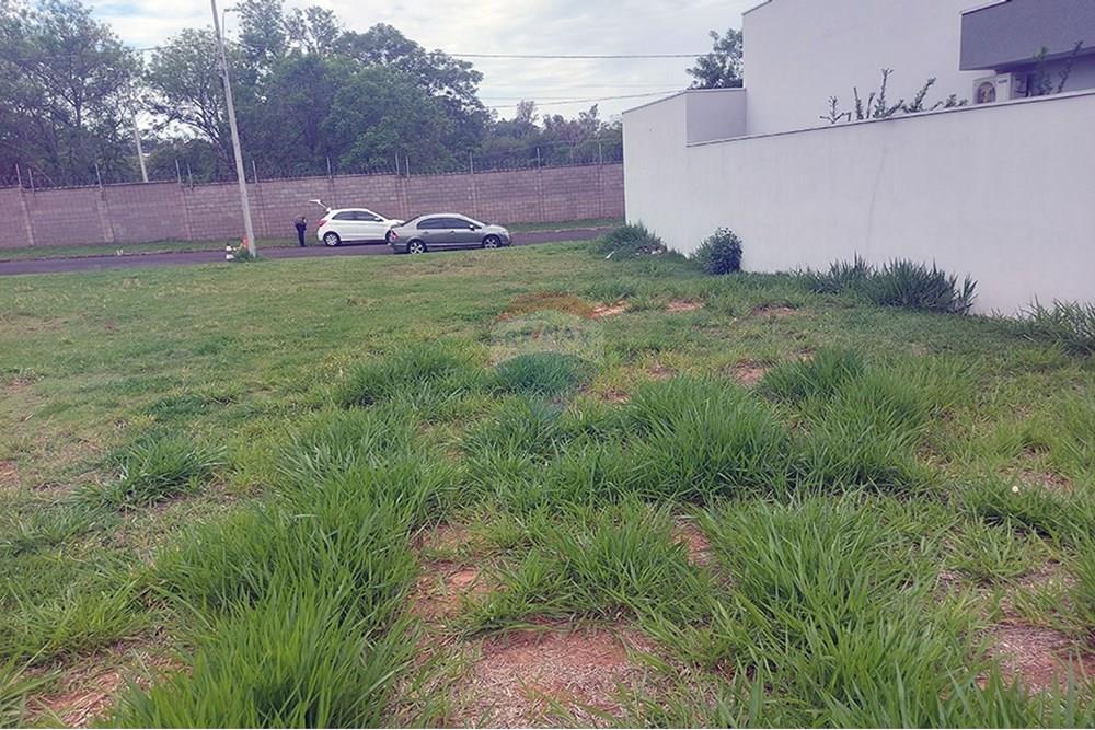 Terreno - Venda - Álvares Machado , São Paulo - 20251028_123536.jpg - 630861066-9