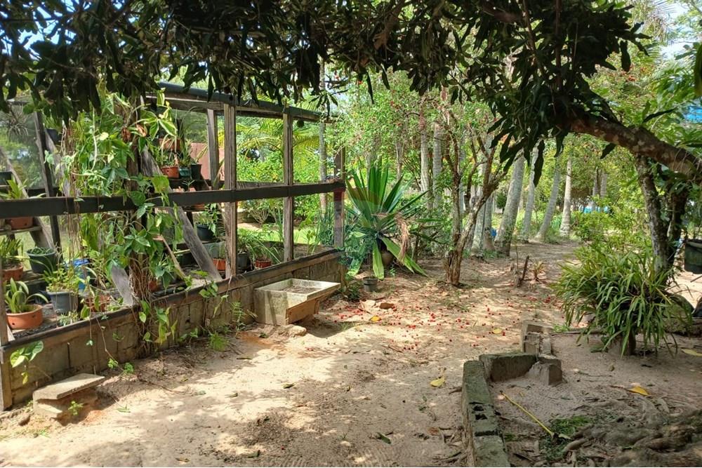 Chácara / Sítio / Fazenda - Venda - Salto de Pirapora , São Paulo - 199.jpeg - 631181053-21