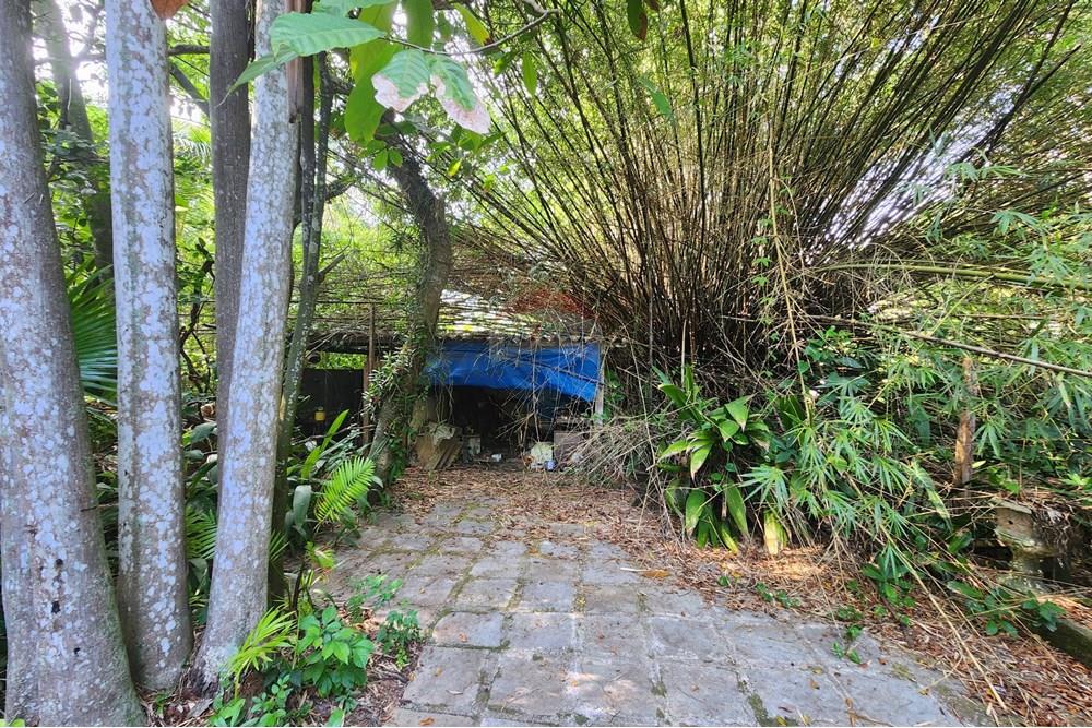 Casa - Venda - Maricá , Rio de Janeiro - WhatsApp Image 2025-07-03 at 11.37.09.jpeg - 630121021-351