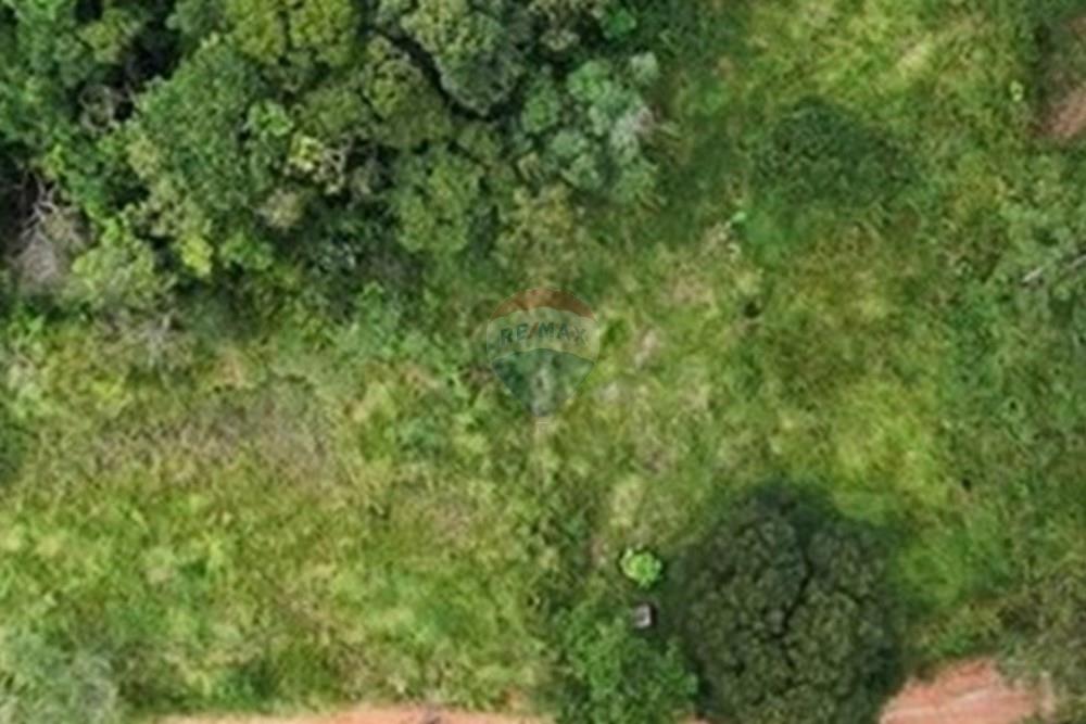 Terreno - Venda - Mairiporã , São Paulo - WhatsApp Image 2026-02-11 at 22.03.33.jpeg - 631361059-4