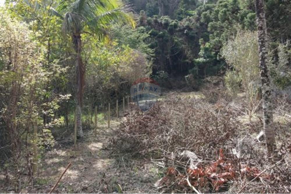 Terreno - Venda - Paraíba do Sul , Rio de Janeiro - 15.jpg - 631611011-3