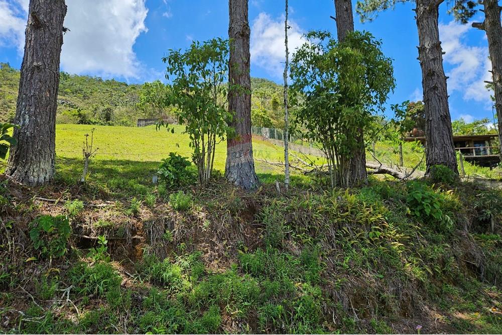 Terreno - Venda - Nova Friburgo , Rio de Janeiro - 20251111_103114.jpg - 630551024-83