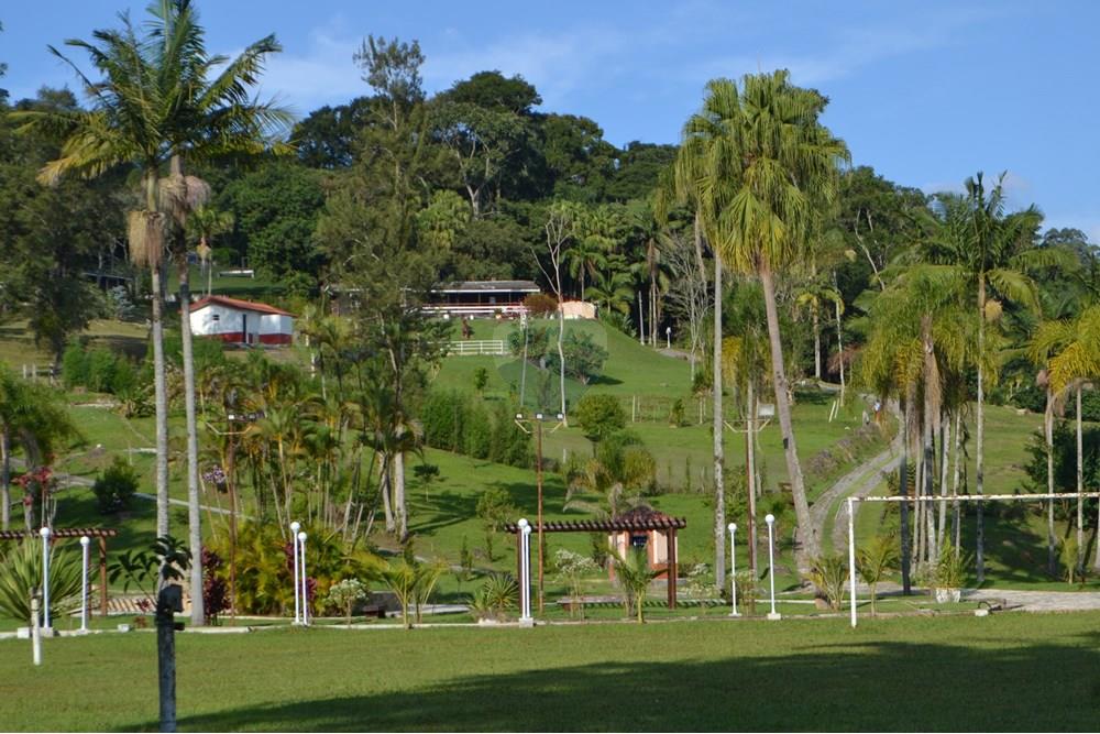 Chácara / Sítio / Fazenda - Venda - São Roque , São Paulo - DSC_6497.jpg - 631601004-87