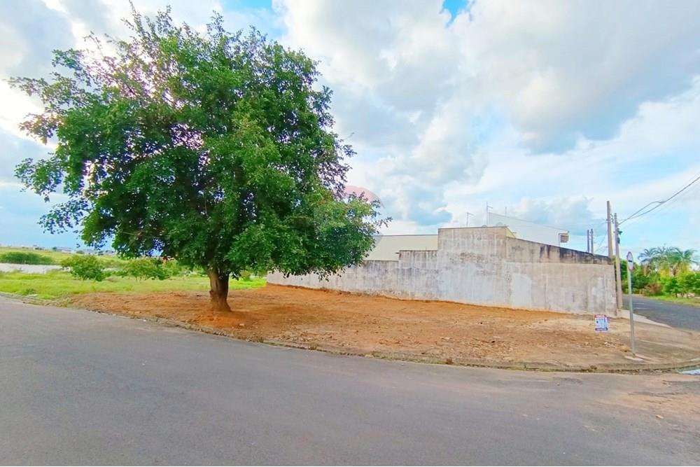 Terreno - Venda - Penápolis , São Paulo - WhatsApp Image 2025-03-15 at 10.21.43 (1).jpeg - 631191013-102