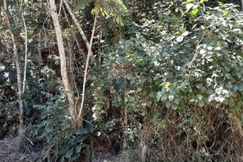 Terreno - Venda - Mairiporã , São Paulo - WhatsApp Image 2025-08-22 at 23.56.06.jpeg - 631361025-40