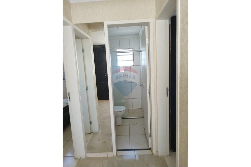 Apartamento - Alugar - Araçatuba , São Paulo - IMG-20251208-WA0093.jpg - 630541060-1