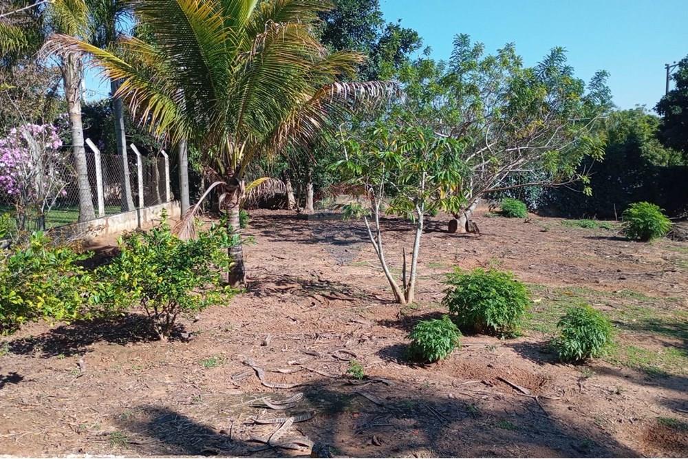 Chácara / Sítio / Fazenda - Venda - Salto de Pirapora , São Paulo - 19.jpeg - 631181053-20