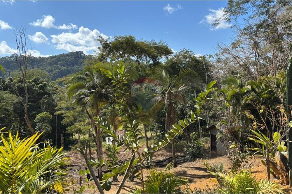 Chácara / Sítio / Fazenda - Venda - Bom Jardim , Rio de Janeiro - 38307a93-4b08-478f-991c-c9fc63ba38fc.jpg - 630171001-50