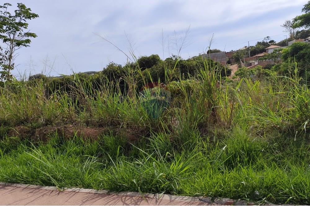 Terreno - Venda - Armação dos Búzios , Rio de Janeiro - IMG-20251115-WA0168.jpg - 631591006-12