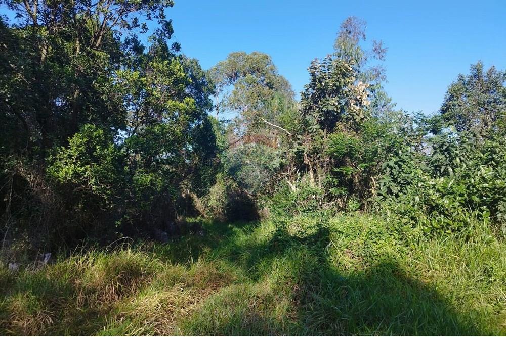 Terreno - Venda - Cabreúva , São Paulo - Terreno Maria Tereza 11.jpg - 630531013-11