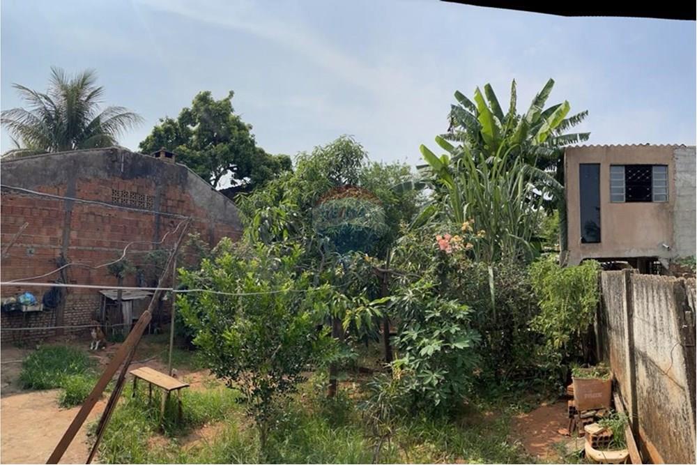 Casa - Venda - São José do Rio Preto , São Paulo - pomar 2.jpeg - 631481003-233