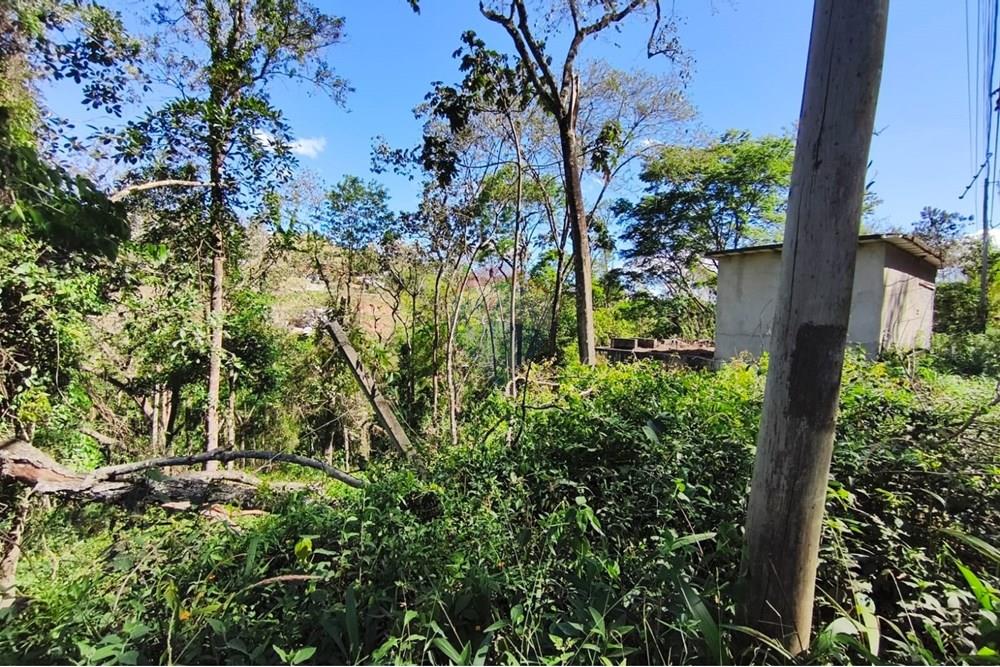 Terreno - Venda - Mairiporã , São Paulo - Terreno rafael 20.jpg - 631361059-12