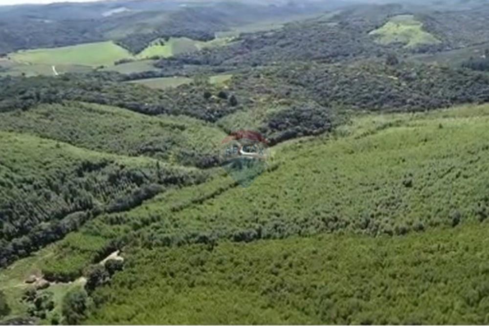 Chácara / Sítio / Fazenda - Venda - Ribeirão Branco , São Paulo - Captura de tela 2025-08-08 170212.jpg - 630541038-45