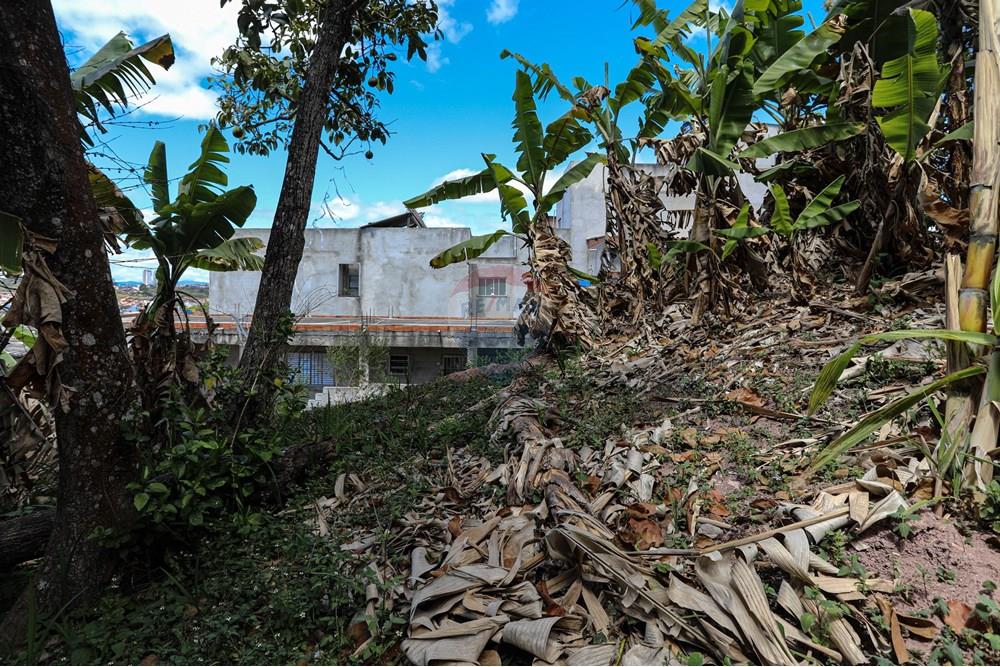 Terreno - Venda - Poá , São Paulo - Rua Ipero 15 - Remax-7.jpg - 630281090-19