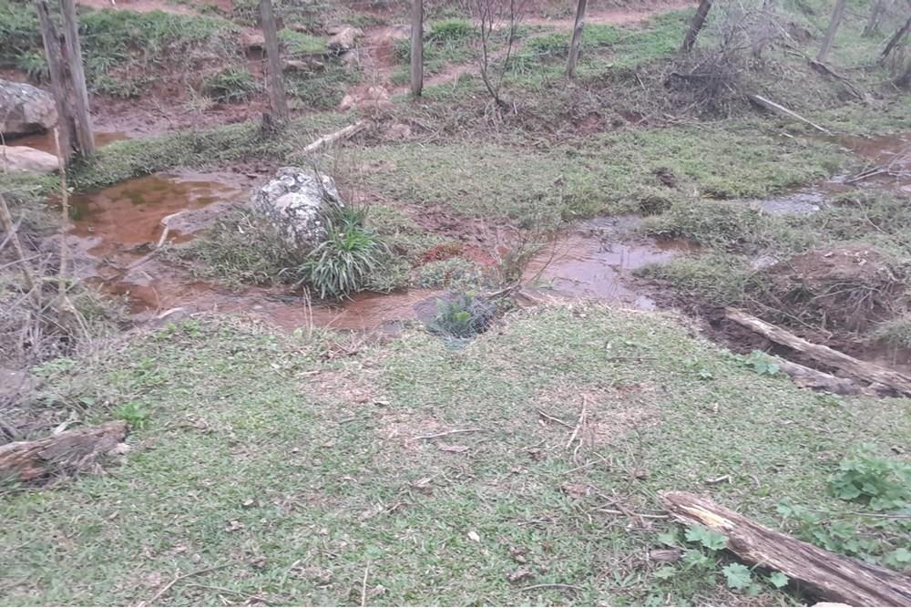 Agro - Venda - Santa Maria Madalena , Rio de Janeiro - WhatsApp Image 2025-05-29 at 13.32.42.jpeg - 630171007-50