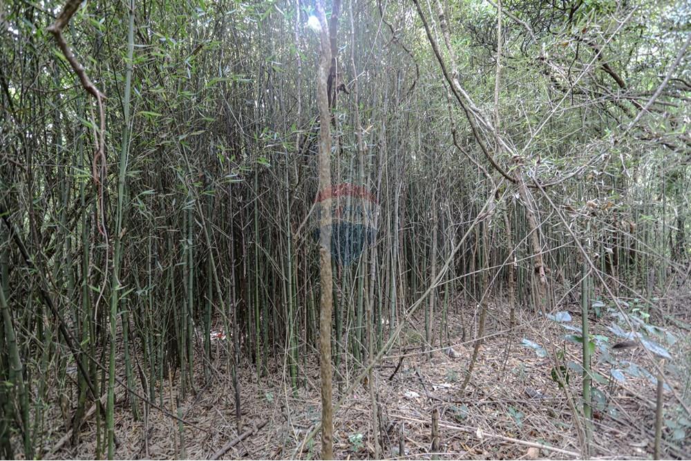 Terreno - Venda - Suzano , São Paulo - Remax- Estrada do Ribeirão 500 Suzano -7094.jpg - 630281011-753