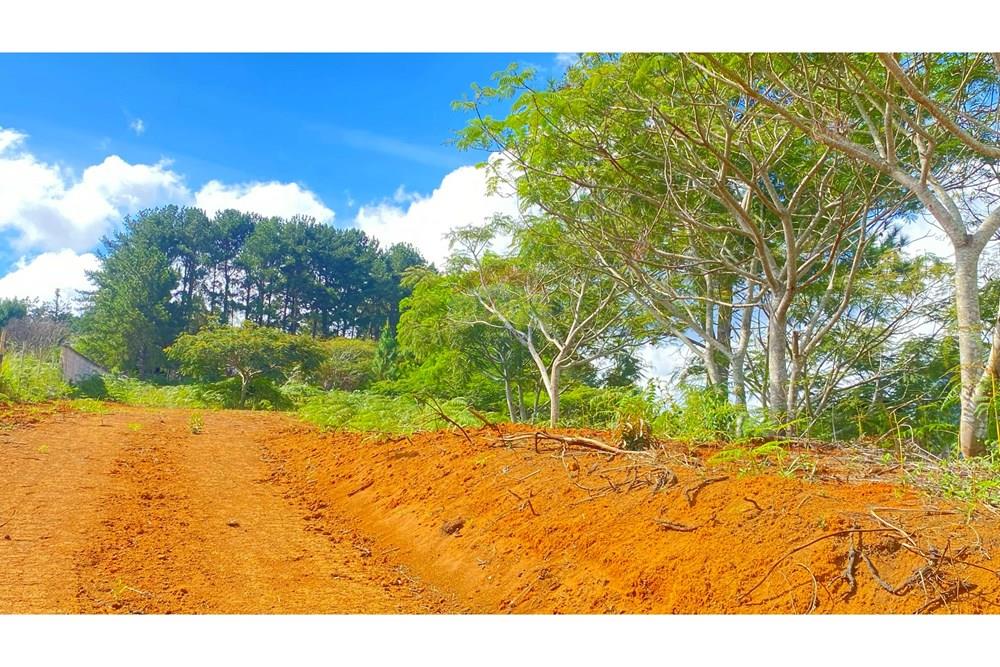 Terreno - Venda - Petrópolis , Rio de Janeiro - ChatGPT Image 2 de abr. de 2025, 14_02_09.jpg - Jardim Externo - 631611008-1