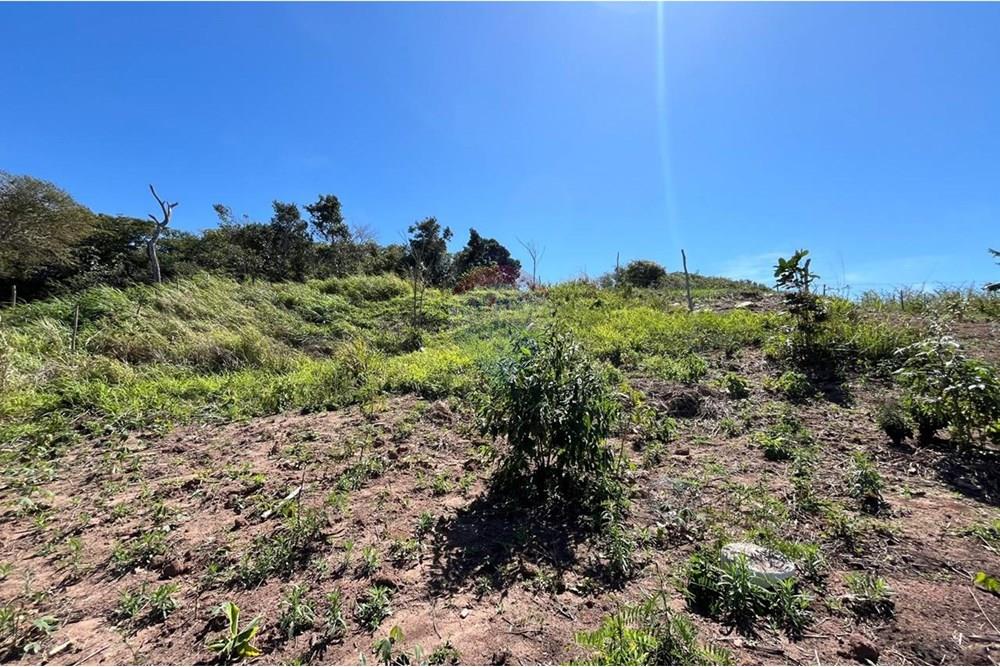 Terreno - Venda - Armação dos Búzios , Rio de Janeiro - b8cd9fe6-ccc3-4711-a111-ff0ffb0a0f29.jpeg - 630391006-82