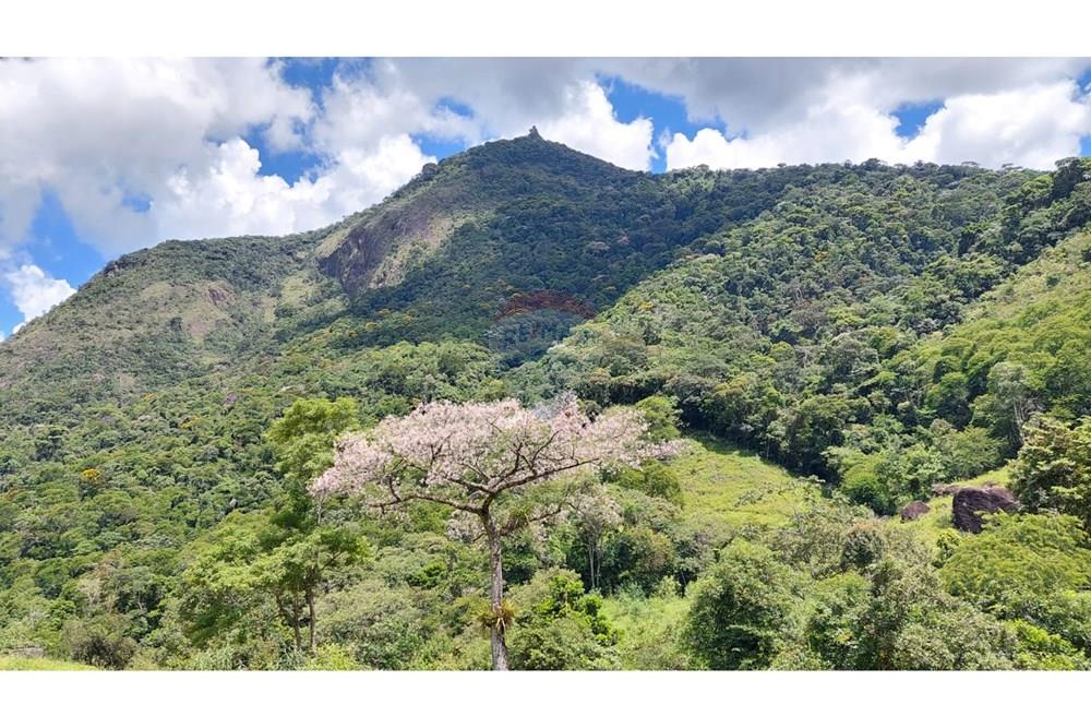 Chácara / Sítio / Fazenda - Venda - Macaé , Rio de Janeiro - dee49f42-edb2-4931-be11-1d4025abca55.jpeg - 630361003-106
