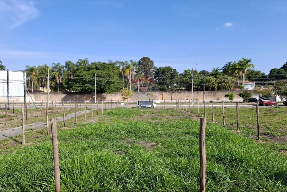 Terreno - Venda - Taubaté , São Paulo - WhatsApp Image 2024-08-02 at 11.44.58 (1).jpeg - 630961004-472