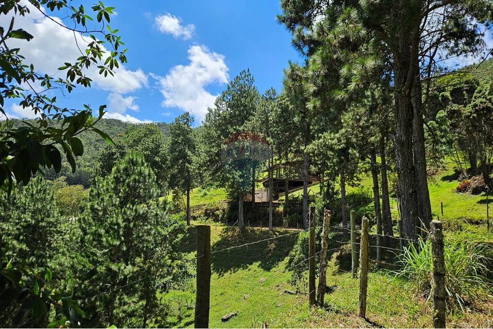 Terreno - Venda - Nova Friburgo , Rio de Janeiro - 20251111_103527.jpg - 630551024-83