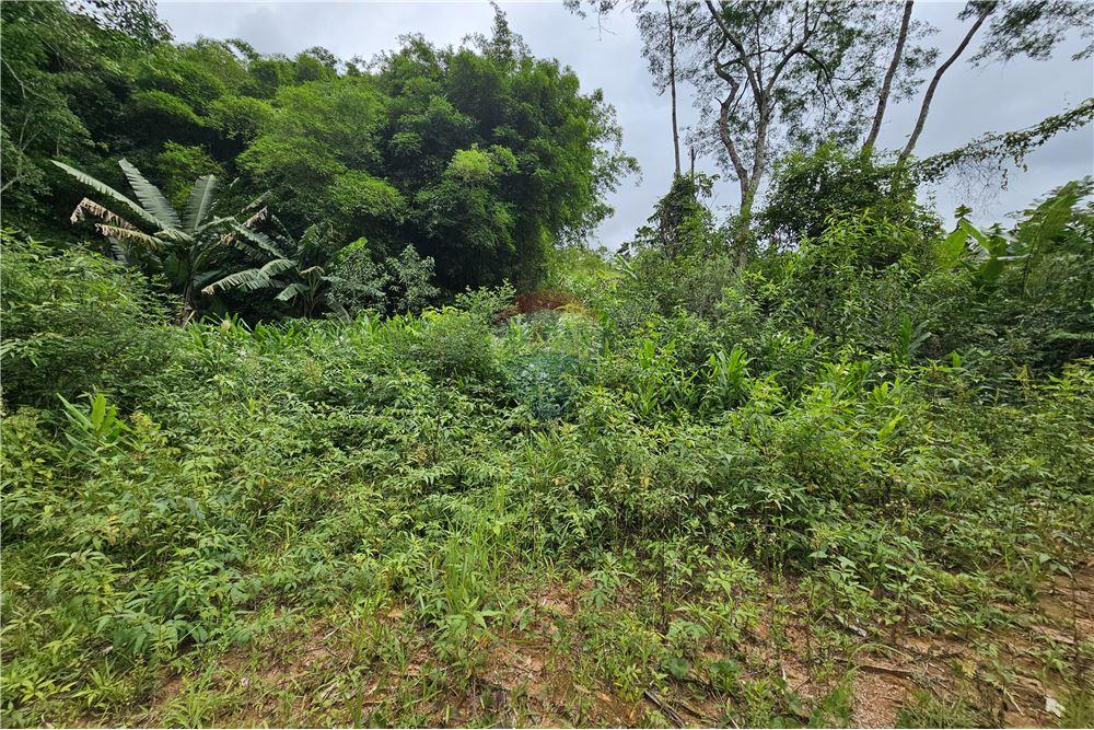 Residential - भूमि - Nova Friburgo , रिओ डे जैनेरो - BR - 36 - 630551016-143