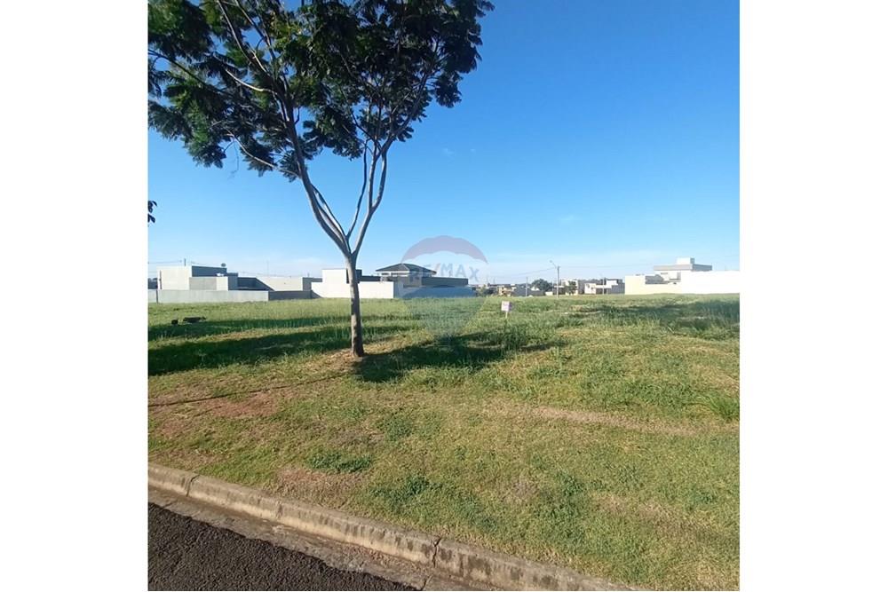 Terreno - Venda - Lins , São Paulo - 4.jpg - 630511048-11