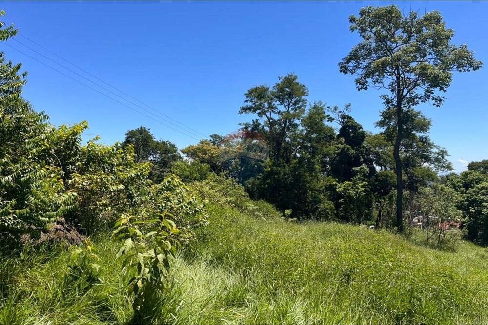 Terreno - Venda - Mogi das Cruzes , São Paulo - WhatsApp Image 2026-02-24 at 13.21.47.jpeg - 631251058-2