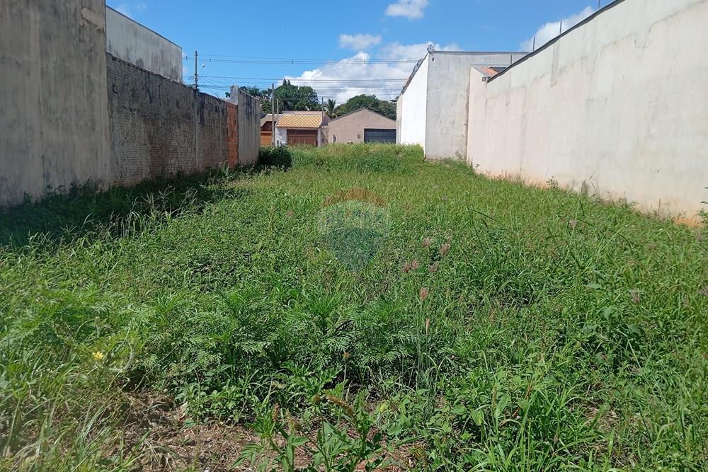 Terreno - Venda - Lins , São Paulo - IMG_20260108_100747.jpg - 631011052-14