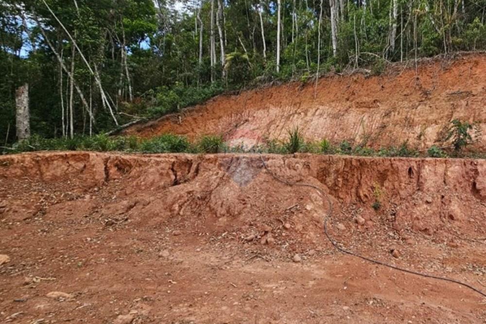 Terreno - Venda - Teresópolis , Rio de Janeiro - WhatsApp Image 2026-01-27 at 14.34.56 (1).jpeg - 630191101-10