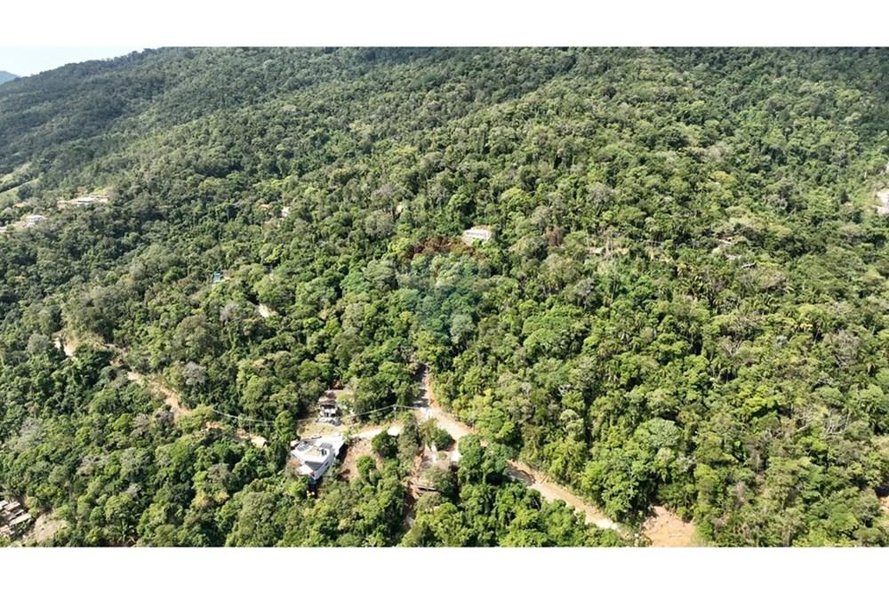 Terreno - Venda - Ilhabela , São Paulo - DJI_0825.00_01_19_51.Quadro004.jpg - 630951011-33