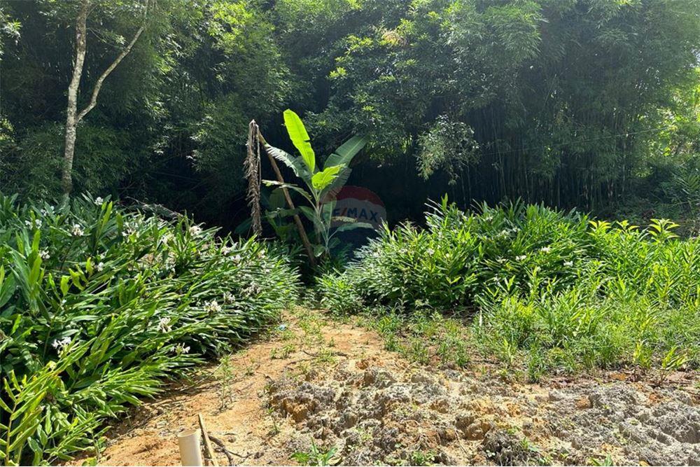 Residential - भूमि - Nova Friburgo , रिओ डे जैनेरो - BR - 47 - 630551016-143